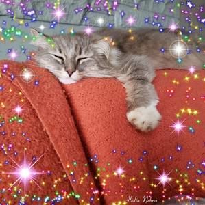 Meet your Posher, Charlene